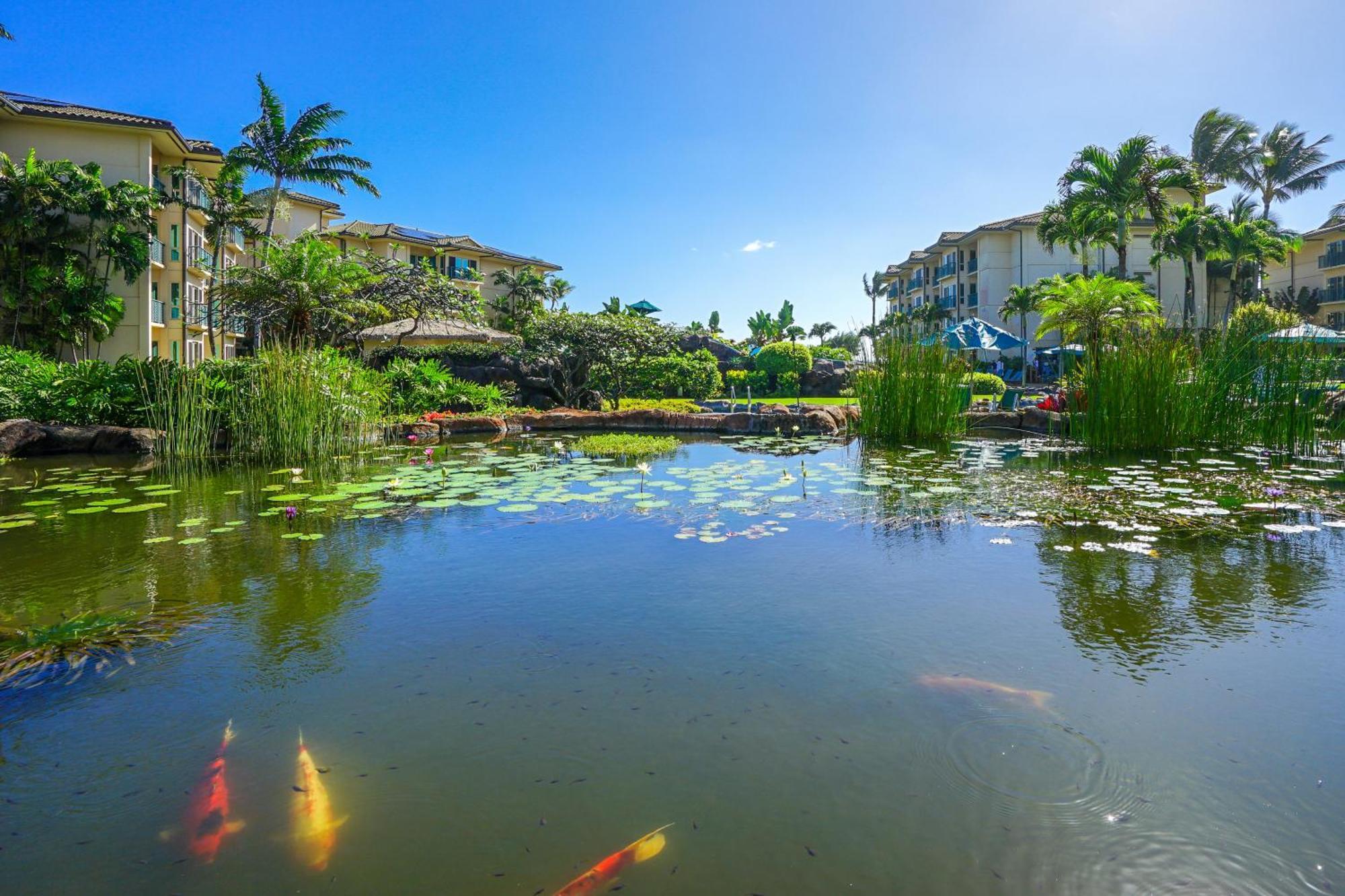 Waipouli Beach Resort 카파 객실 사진